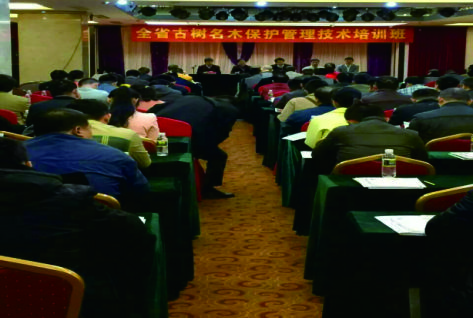 名木古樹保護,搶救復壯,遷移,古樹資源普查